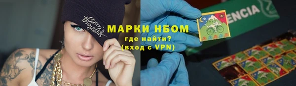 ПСИЛОЦИБИНОВЫЕ ГРИБЫ Алексин