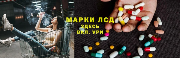 ПСИЛОЦИБИНОВЫЕ ГРИБЫ Алексин