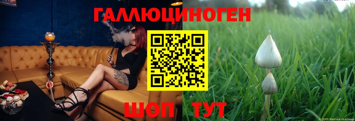 Псилоцибиновые грибы прущие грибы Лянтор
